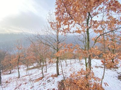 Eladó lakóövezeti telek Pécs