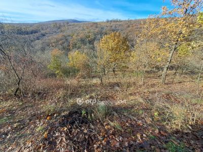 Eladó lakóövezeti telek Pécs