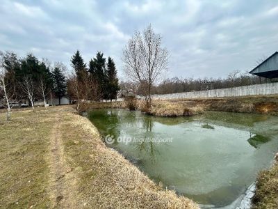 Eladó ipari terület Balkány