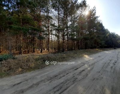 Eladó ipari terület Kecskemét
