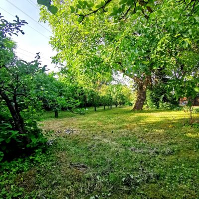 Eladó lakóövezeti telek Budaörs