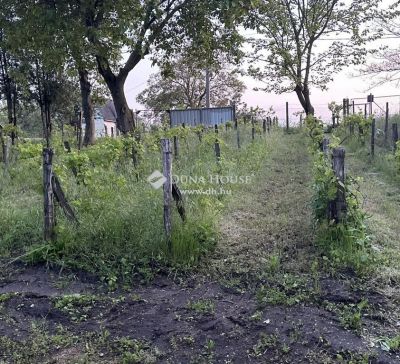 Eladó külterületi telek Mezőfalva