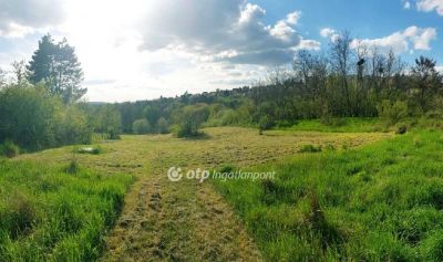 Eladó lakóövezeti telek Komló