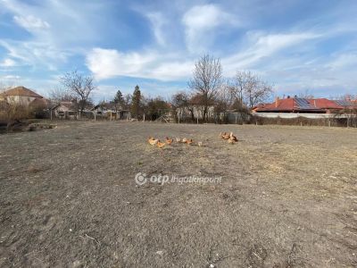 Eladó egyéb üzlethelység Poroszló