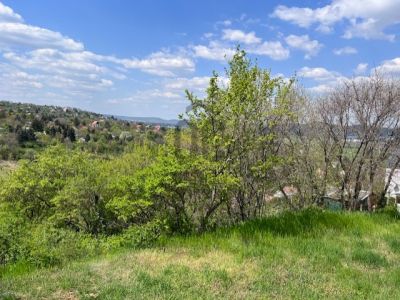 Eladó lakóövezeti telek Budaörs