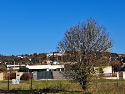 Eladó lakóövezeti telek Budakeszi