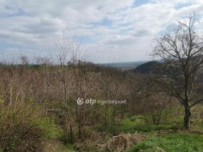 Eladó nyaraló Szekszárd