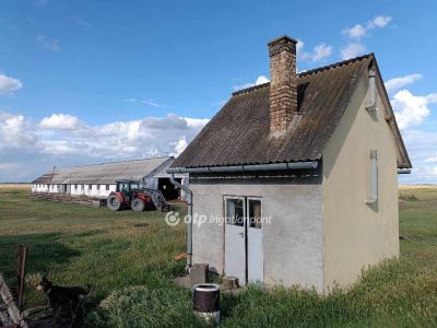 Eladó általános mezőgazdasági ingatlan Polgár