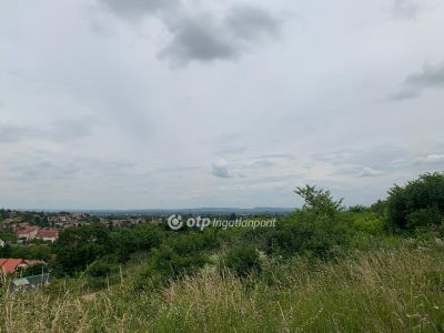 Eladó lakóövezeti telek Pomáz