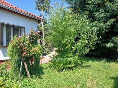 Eladó családi ház Domoszló