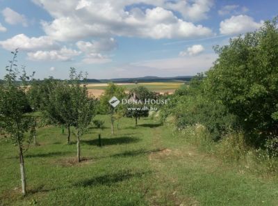 Eladó termőföld, szántó Bajna