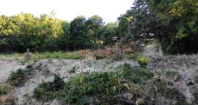 Eladó lakóövezeti telek Szentendre