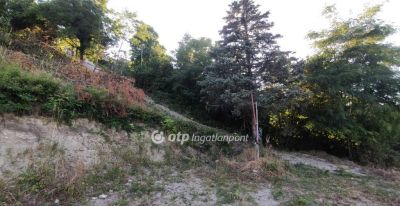 Eladó lakóövezeti telek Szentendre
