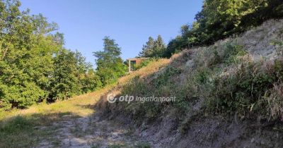 Eladó lakóövezeti telek Szentendre