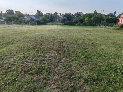 Eladó lakóövezeti telek Zamárdi
