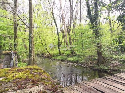 Eladó lakóövezeti telek Szentendre