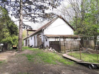 Eladó lakóövezeti telek Szentendre