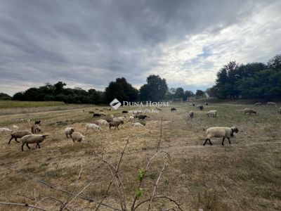 Eladó családi ház Sámod