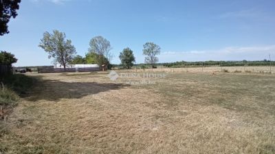 Eladó külterületi telek Balatonvilágos