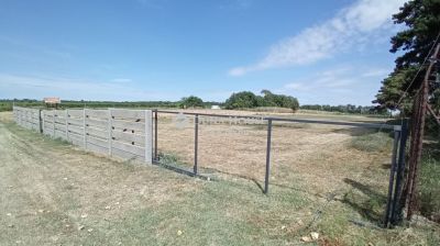 Eladó külterületi telek Balatonvilágos