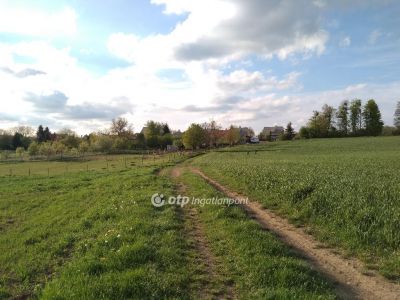 Eladó lakóövezeti telek Zirc