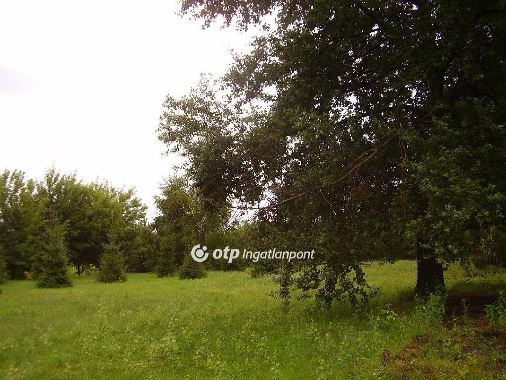 Eladó ipari terület Őrbottyán