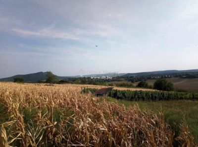 Eladó egyéb telek Bajna