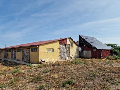 Eladó általános mezőgazdasági ingatlan Debrecen