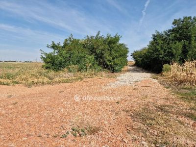 Eladó általános mezőgazdasági ingatlan Debrecen