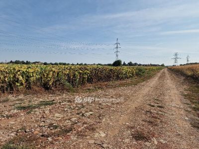 Eladó általános mezőgazdasági ingatlan Debrecen