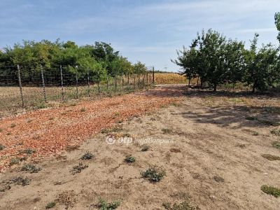 Eladó általános mezőgazdasági ingatlan Debrecen