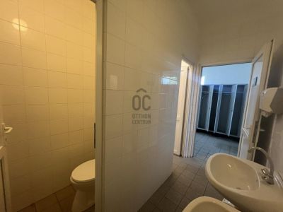 Eladó külterületi telek Dunaharaszti
