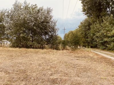 Eladó termőföld, szántó Felsőlajos