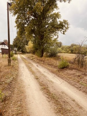 Eladó termőföld, szántó Felsőlajos