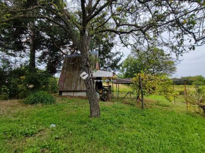 Eladó külterületi telek Hatvan