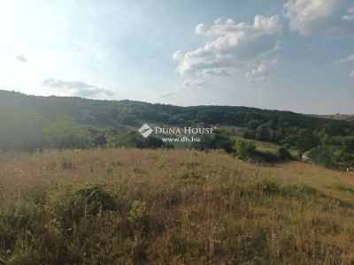 Eladó lakóövezeti telek Nagysáp