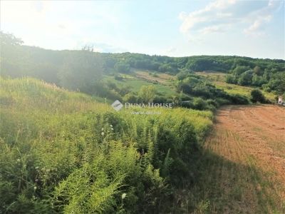 Eladó lakóövezeti telek Nagysáp