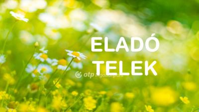 Eladó lakóövezeti telek Barbacs