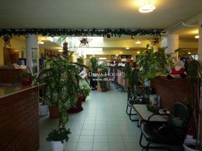 Kiadó ikerház Debrecen