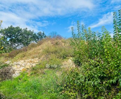 Eladó lakóövezeti telek Balatonfüred