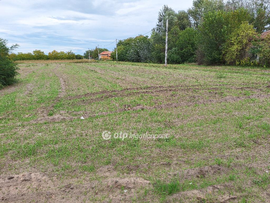 Eladó lakóövezeti telek Tiszakécske