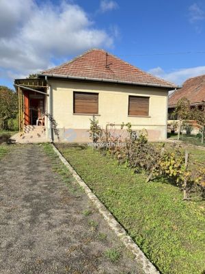Eladó családi ház Domony