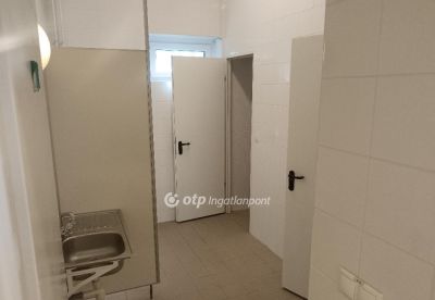 Kiadó irodahelység irodaházban Szeged
