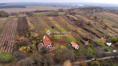 Eladó pince, présház Környe