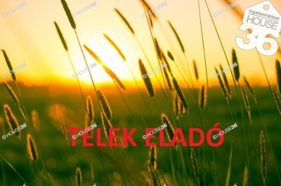 Eladó külterületi telek Ballószög