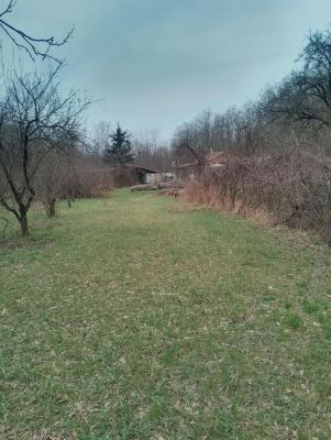 Eladó családi ház Debrecen