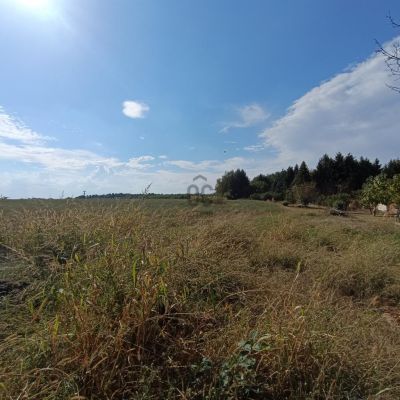 Eladó családi ház Nagykanizsa