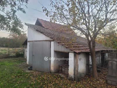 Eladó családi ház Csanádpalota