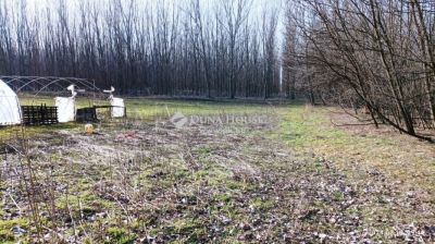 Eladó általános mezőgazdasági ingatlan Monor