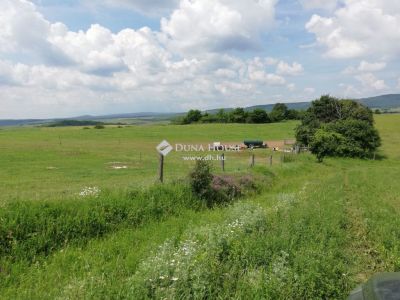 Eladó külterületi telek Csabdi